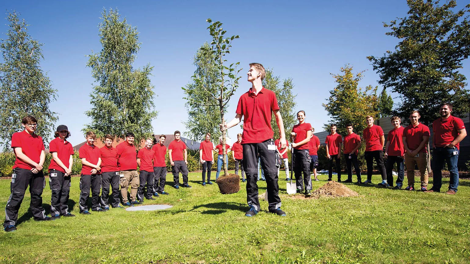 Lehrlinge pflanzen einen Baum
