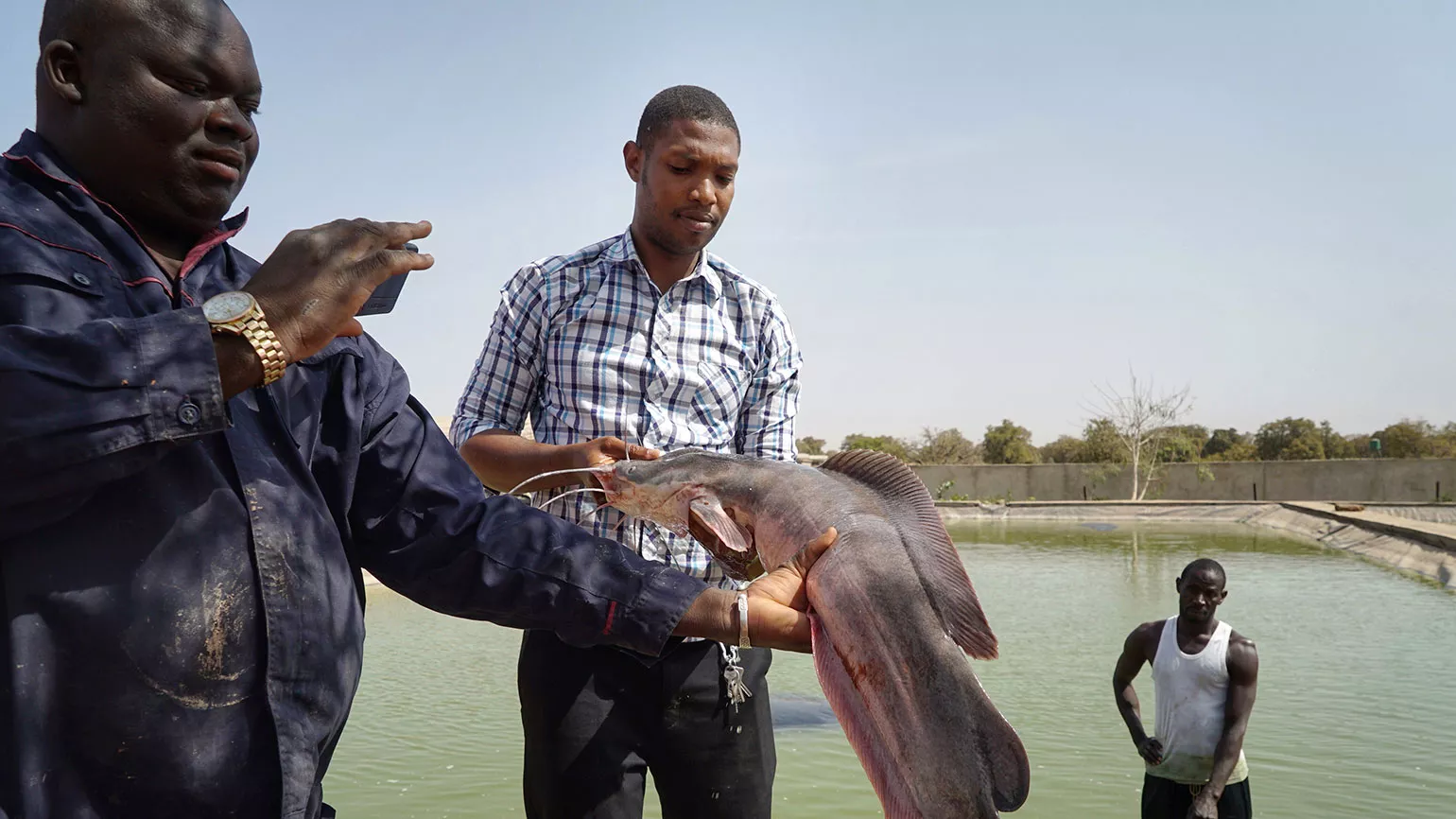 Microgrid with Fronius inverters at a fish farm in Mali Fish Farm in Mali with a Microgrid and Fronius inverters