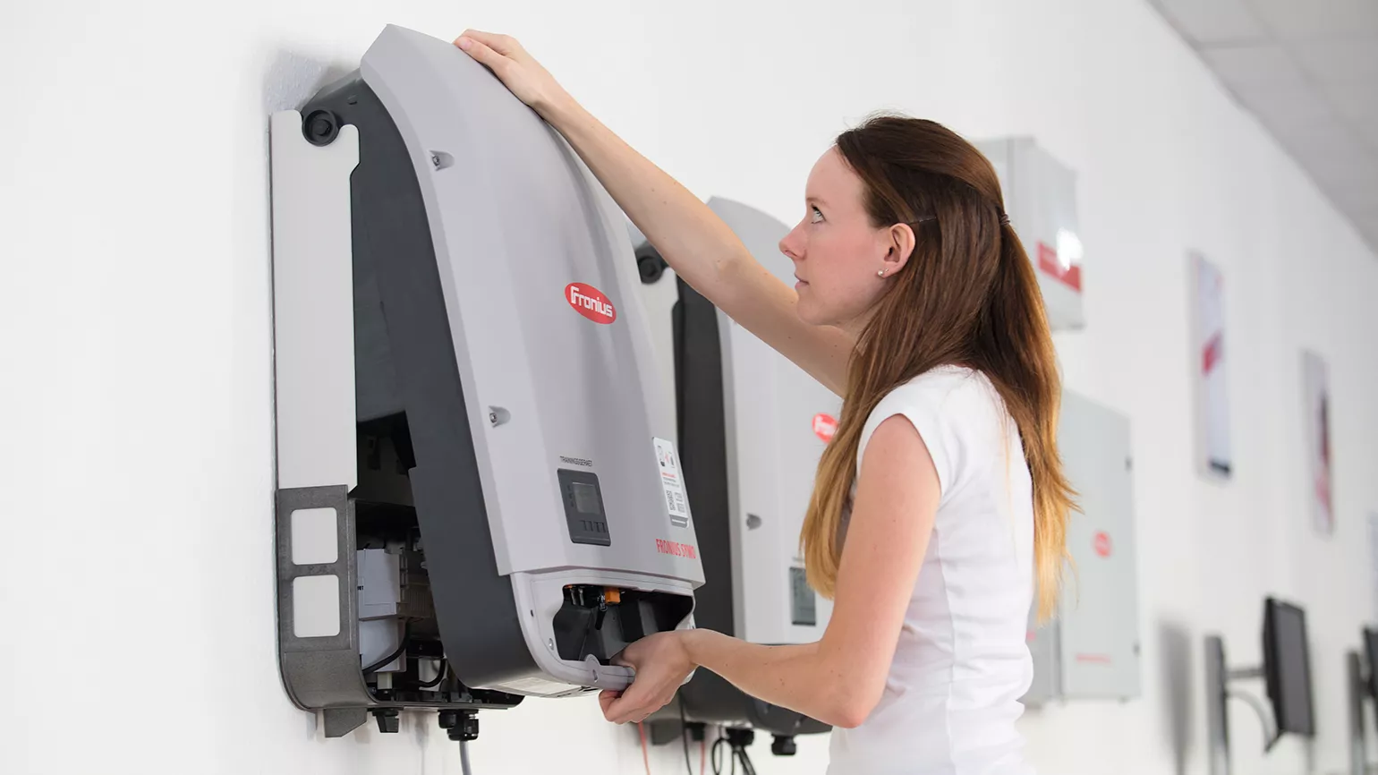 woman and SnapINverter