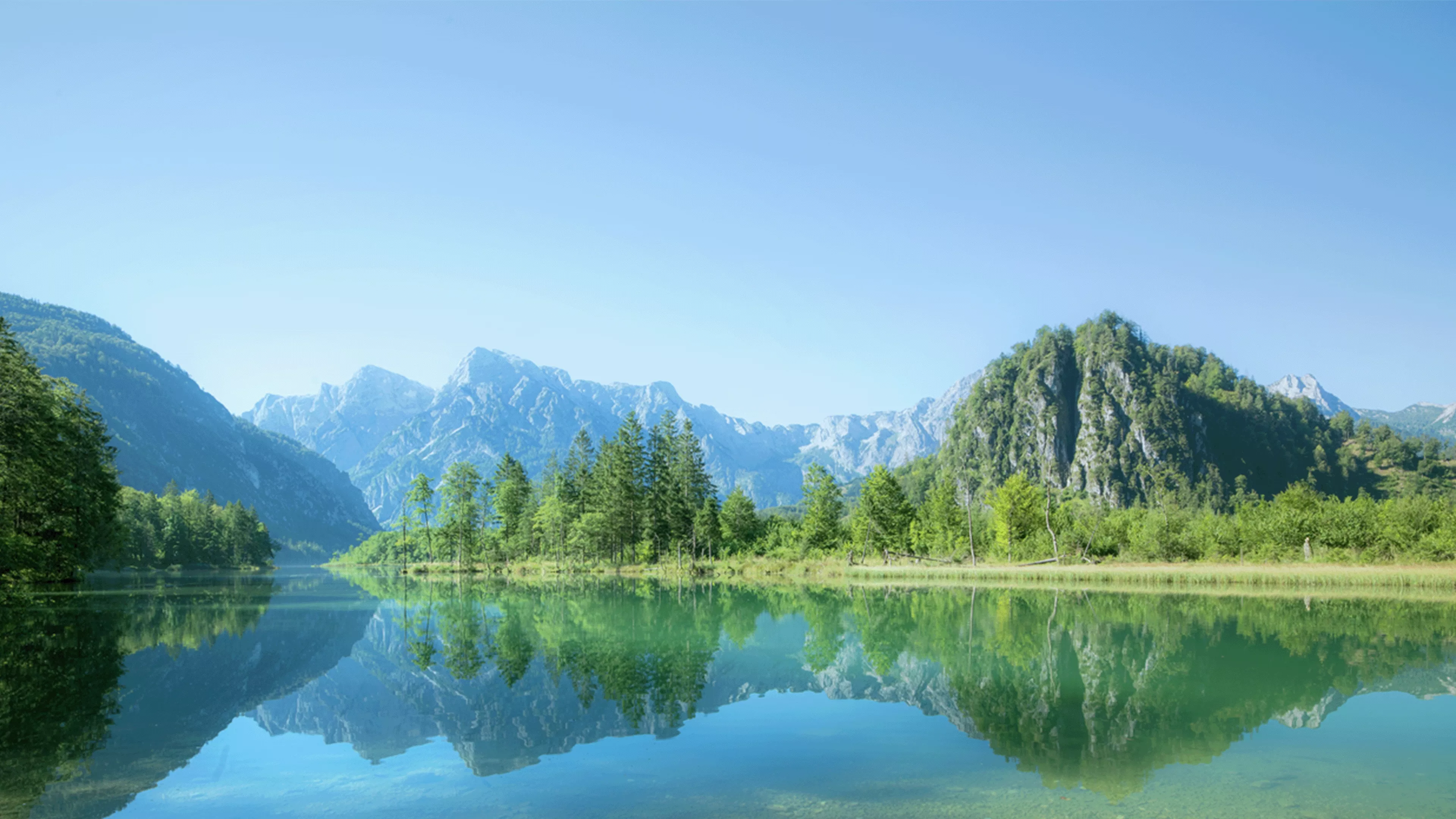 Almsee
